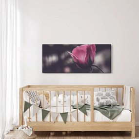 Tablou - Detaliu florii de trandafir (120x50 cm)