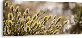 Tablou - Verde (120x50 cm)