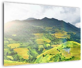 Tablou plantație (90x60 cm)