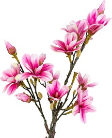 Magnolia Mirelia (verde + roz). Promo -17%. 1147146