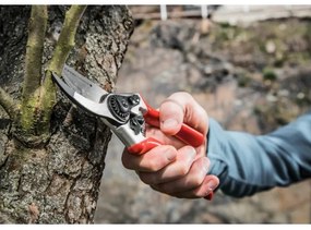 Foarfecă de grădină Extol Premium 215 mm