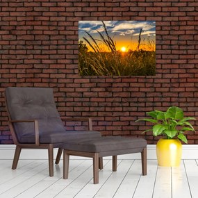 Tablou pe sticlă cu câmp în apus de soare (70x50 cm)