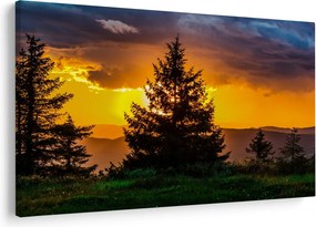 Tablou - coniferi (90x60 cm)