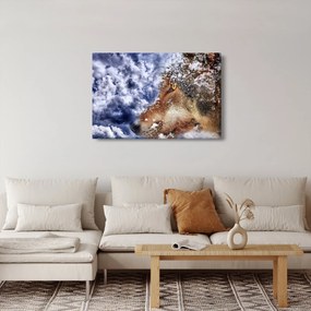 Tablou cu lup (90x60 cm)