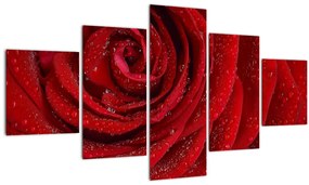 Tablou - detaliu de  trandafir (125x70 cm), în 40 de alte dimensiuni noi