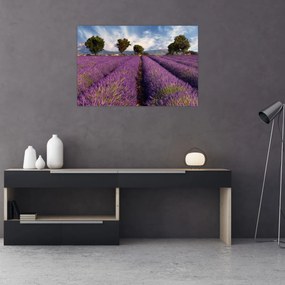 Tablou - câmp de lavandă și munți (90x60 cm)