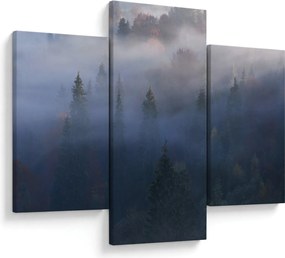 Tablou - Pădure în ceță, Carpați, Ucraina (90x60 cm)