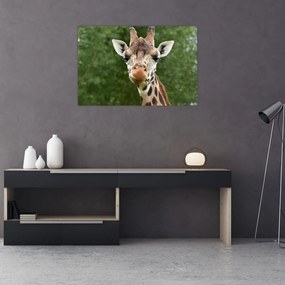 Tablou cu girafa (90x60 cm)
