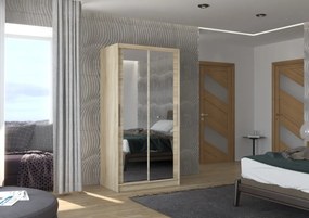 Dulap cu usi glisante si oglinda 100x200 cm, Nevio, ADRK Furniture (Culoare: Ciocolata)