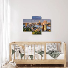 Tablou - Panorama Rotterdamului, Țările de Jos (90x60 cm)
