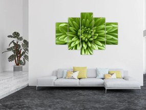 Tablou - Imagine macro a unei plante (150x105 cm)