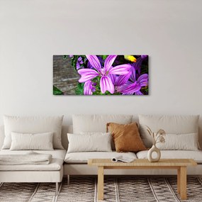 Tablou -flori de câmp (120x50 cm)