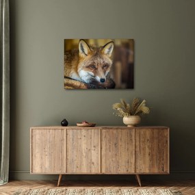 Tablou cu vulpe (70x50 cm)