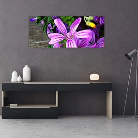 Tablou -flori de câmp (120x50 cm), în 40 de alte dimensiuni noi