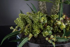 Aranjament floral elegant, design LUX CACTUS GRASS