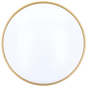 Plafonieră LED dimabilă Solight WO8013 CALA LED/48W/230V 3000-6500K + telecomandă