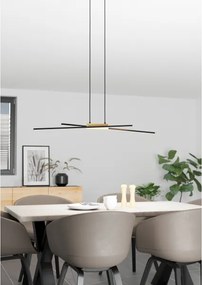 Lustră LED pe cablu dimabilă PANAGRIA 2xLED/13W/230V Eglo 900489