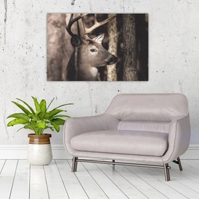 Tablou - Cerb în pădure (90x60 cm)