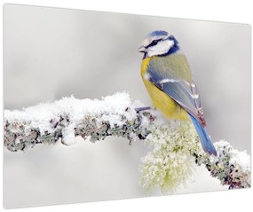 Tablou - Tit albastru în pădure (90x60 cm)