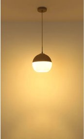 Globo 15999H1 - Lustră suspendată pe cablu RAGUSA, 1xE27/60W/230V, Ø 25 cm