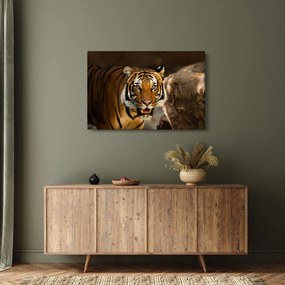 Tablou cu tigrul (90x60 cm)