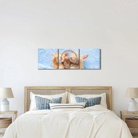 Tablou - Pisicuțe adormite (cu ceas) (90x30 cm)