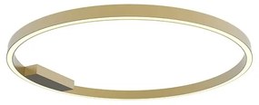 Plafoniera LED dimabila design slim Ridley aurie D-80cm