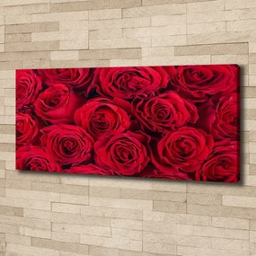 Tablou pe pânză canvas Trandafiri