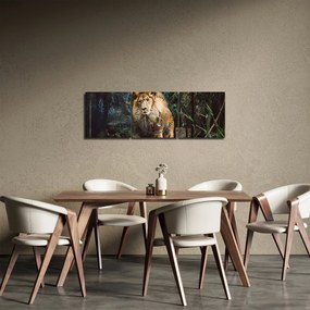 Tablou cu leu în natură (cu ceas) (90x30 cm)