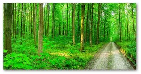 Tablou sticlă acrilică Copaci în pădure