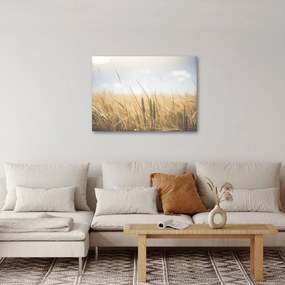 Tablou cu grâne (70x50 cm)