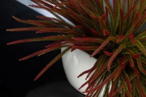 Aranjament floral mediu design LUX SLIMPINE BUSH