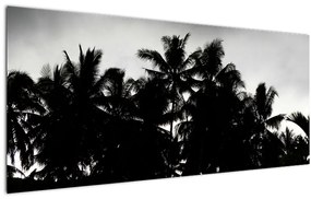 Tablou alb negru - palmieri (120x50 cm)