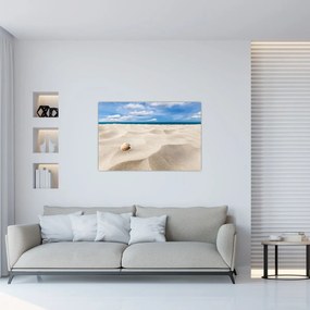 Tablou - Scoici pe plajă (90x60 cm)