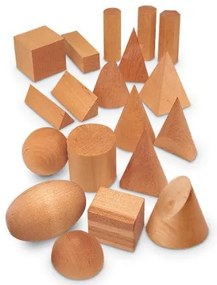 FORME GEOMETRICE DIN LEMN (SET 19) (LER4298)