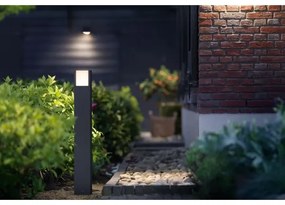 Lampă LED de exterior Philips ARBOUR LED/3,8W/230V 77 cm IP44
