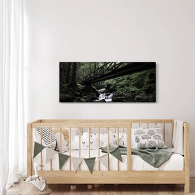Tablou din pădurea neagră (120x50 cm)