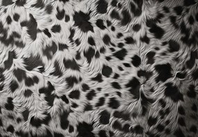Fototapet - Blană pătată (147x102 cm)
