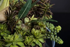 Aranjament floral elegant, design LUX CYMBIDIUM PLANT