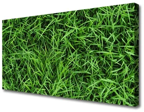 Tablou pe panza canvas Iarbă Lawn Floral Verde