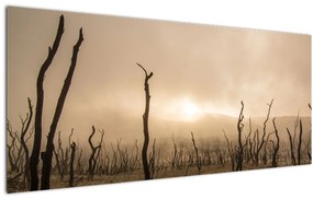 Tablou - Copaci goi (120x50 cm)