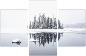 Tablou - A fost alb (90x60 cm)