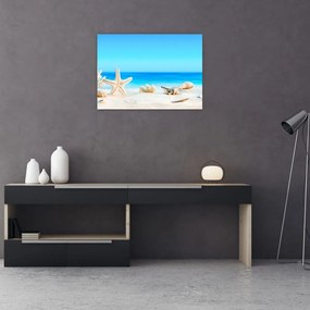 Tablou pe sticlă - Natura morta cu scoici (70x50 cm)