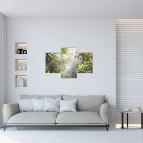 Tablou - Pădure tropicală (90x60 cm)