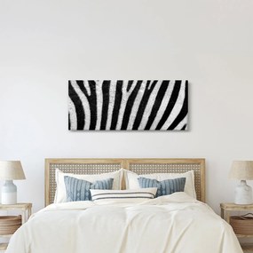 Tablou cu piele de zebră (120x50 cm)