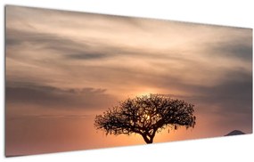 Tablou apusului de soare în Tanzania (120x50 cm), în 40 de alte dimensiuni noi