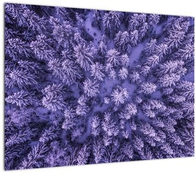 Tablou pe sticlă cu copacii înzăpeziți (70x50 cm)