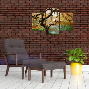 Tablou - Arțarul japonez galben, Portland, Oregon (90x60 cm)