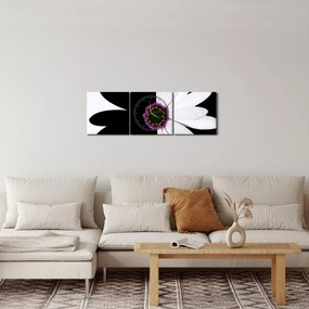 Tablou - Floare, alb- negru (cu ceas) (90x30 cm)