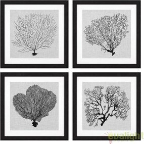 Set 4 tablouri design LUX Shadow Sea Fans 112752 HZ